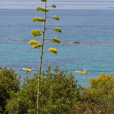 Lipari Club